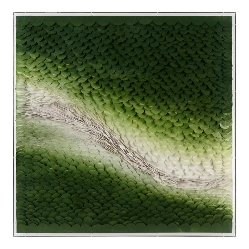 Wall Art Tony Fey's Verdant Scales