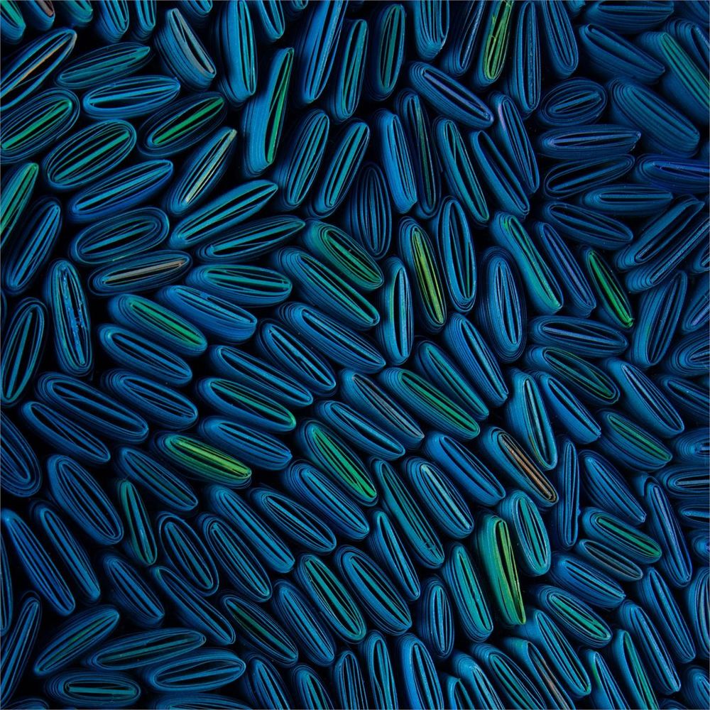 Tony Fey's Cerulean Swells
