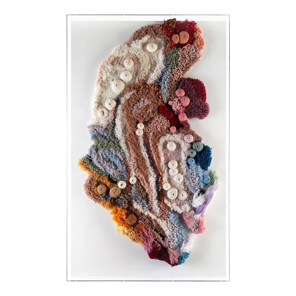 Wall Art Tony Fey's Exotic Plumage