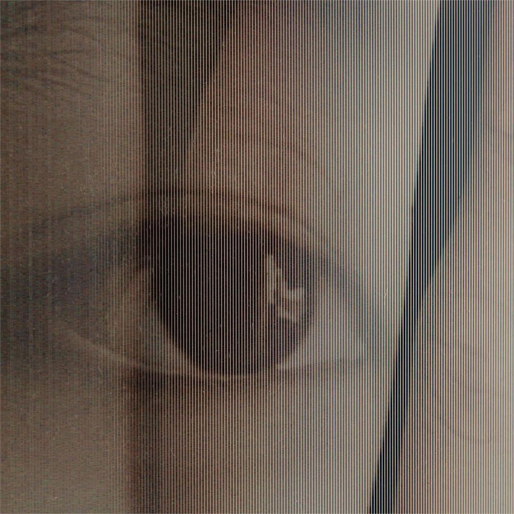 Wall Art Tony Fey's Transparency