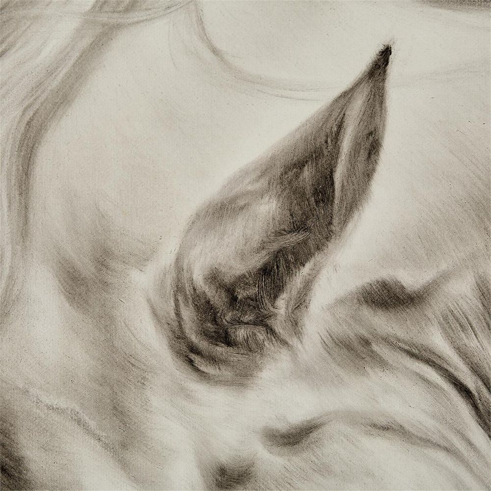 Wall Art Charging Spirit by Liu Mengzhou