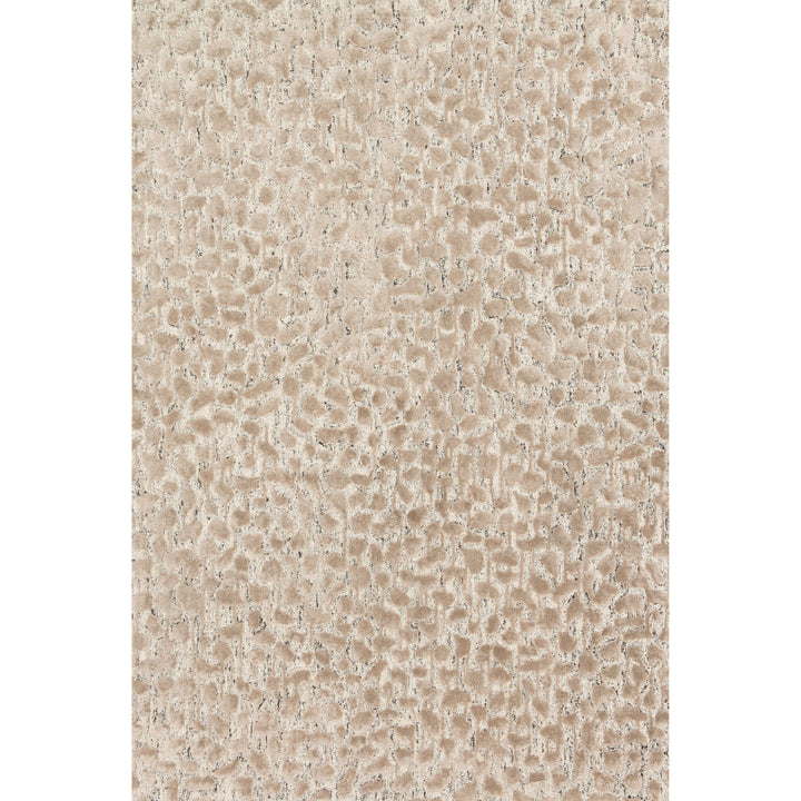 Loloi Juneau Ash / Taupe 7'-9" x 9'-9" Area Rug