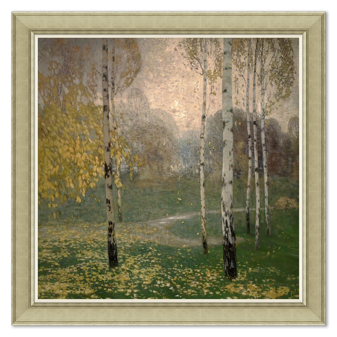 Birch Trees by Soicher Marin
