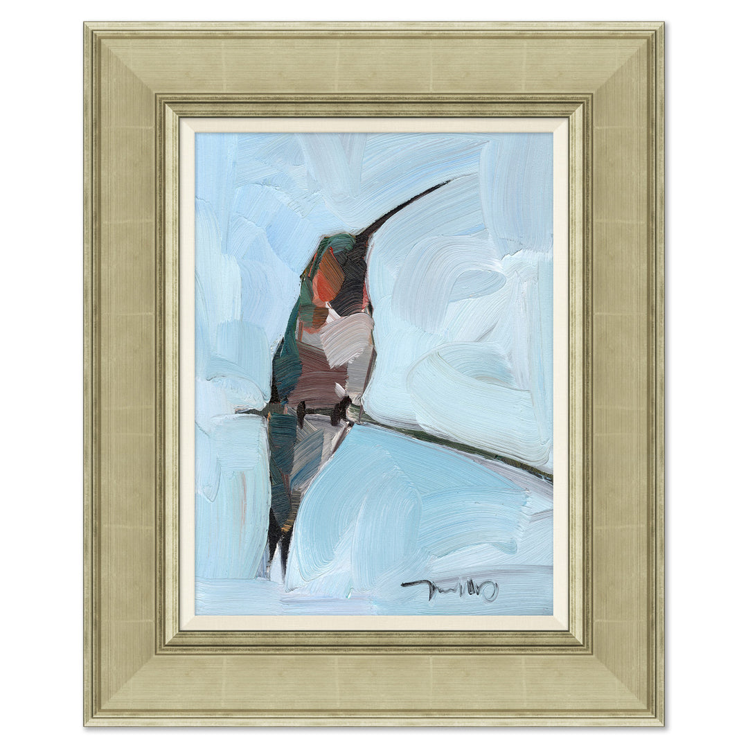 Baja Hummingbird by Soicher Marin