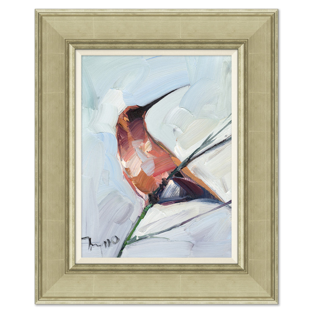 Rufous Hummingbird on Canvas by Soicher Marin
