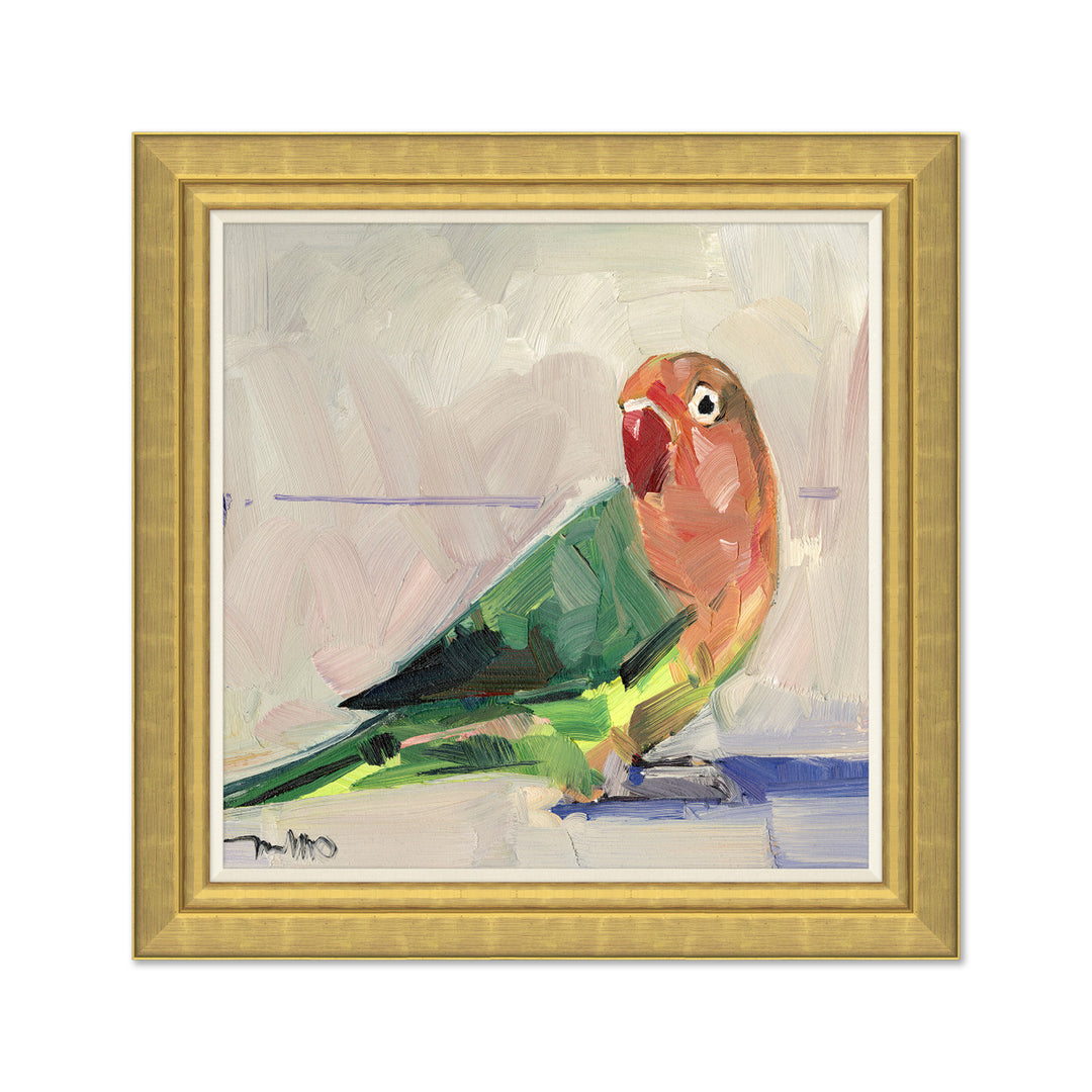 Rainbow Parakeet on Canvas by Soicher Marin
