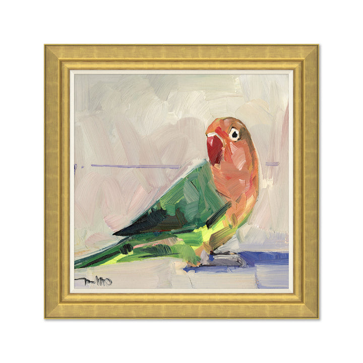 Rainbow Parakeet on Canvas by Soicher Marin