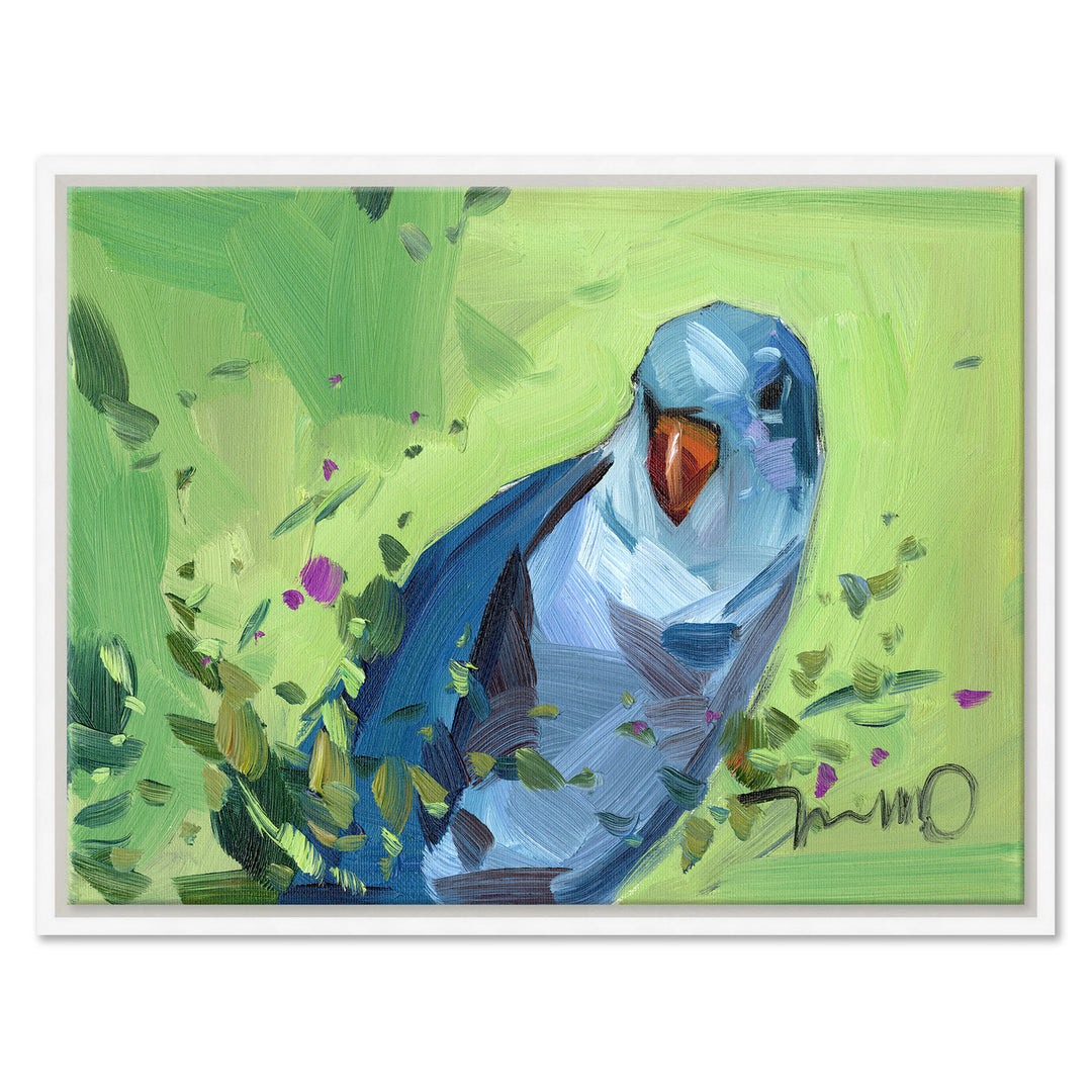 Blue Bird by Soicher Marin