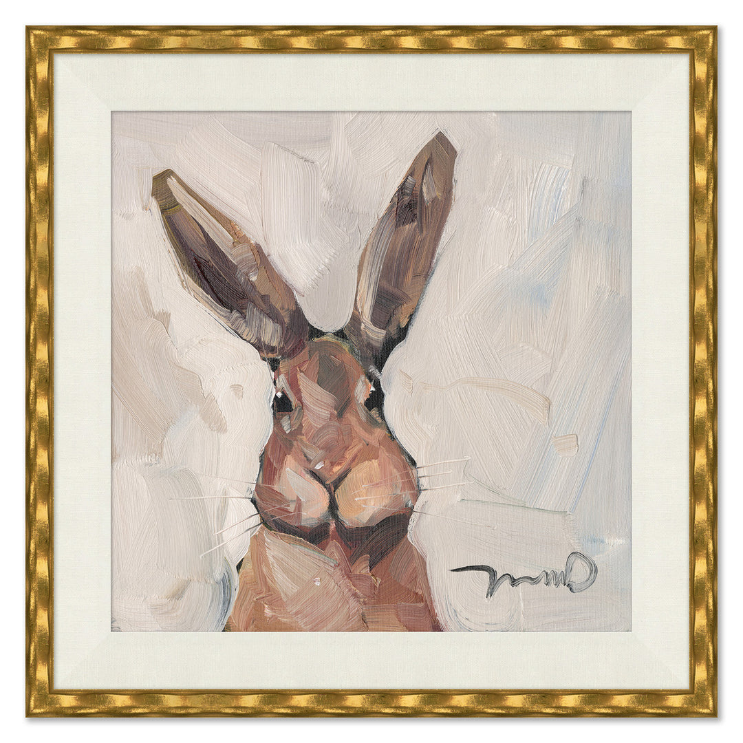 Brown Bunny by Soicher Marin