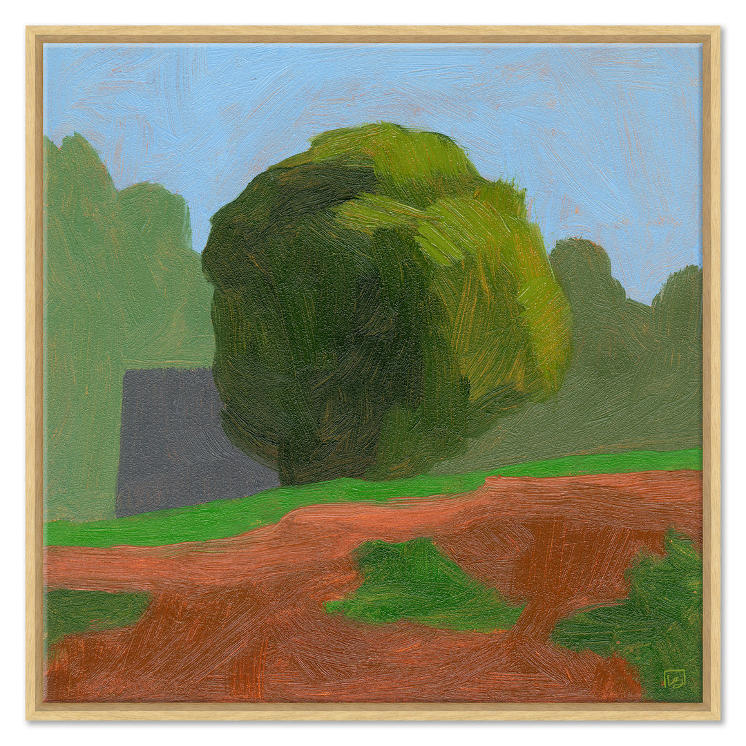 Shrubbery with Fence, Wilkesboro by Soicher Marin