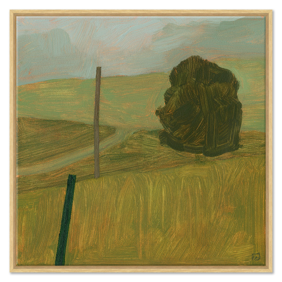 Pasture on my Road by Soicher Marin