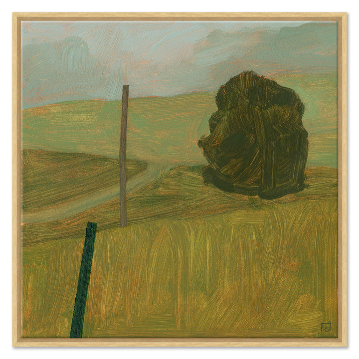 Pasture on my Road by Soicher Marin