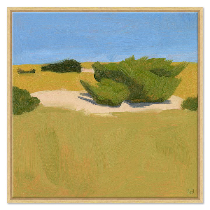 Shrubbery, Cape Hatteras by Soicher Marin