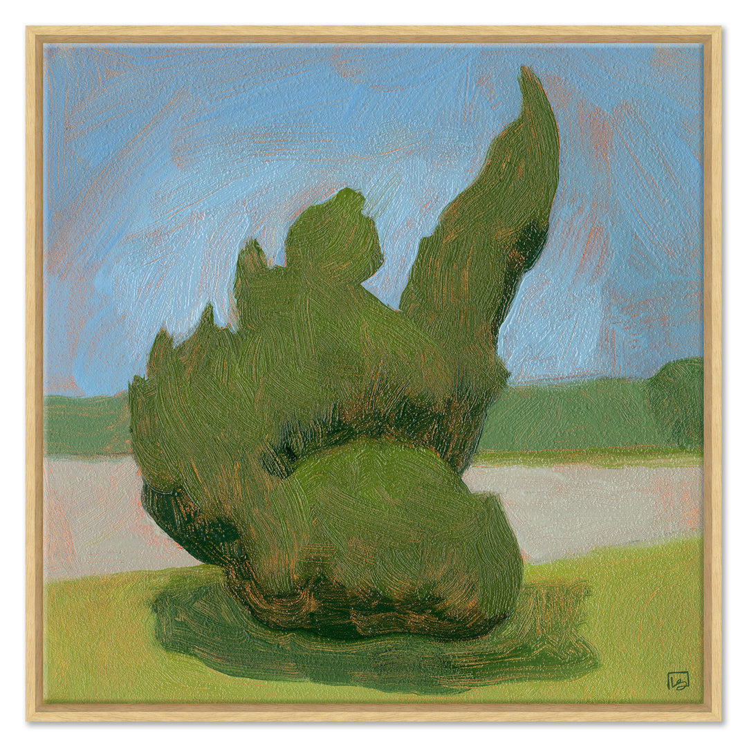Shrubbery Rodanthe by Soicher Marin