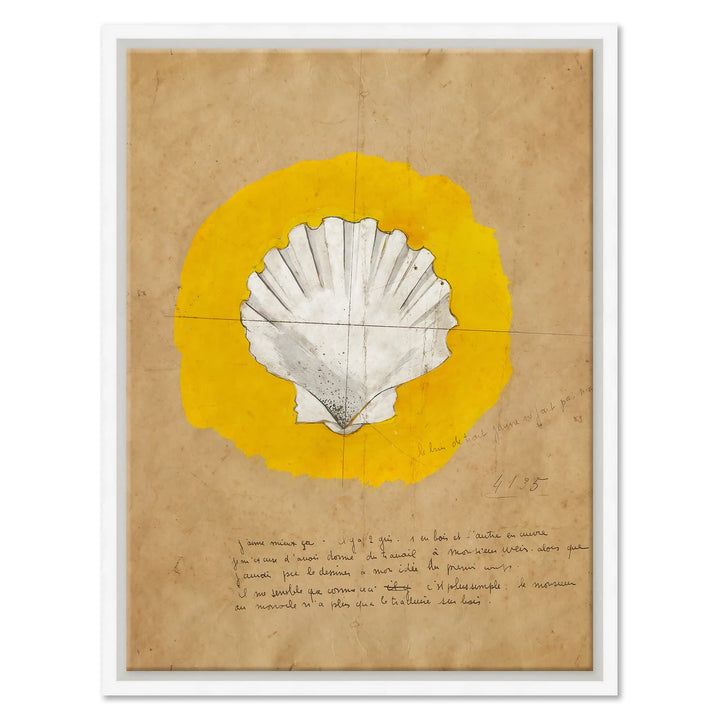 Shell 1 (var. 3) by Soicher Marin