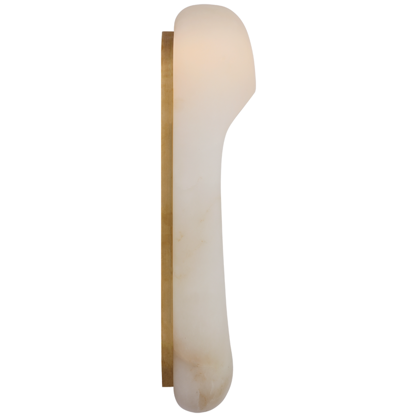 Elias 18" Elongated Wall Light