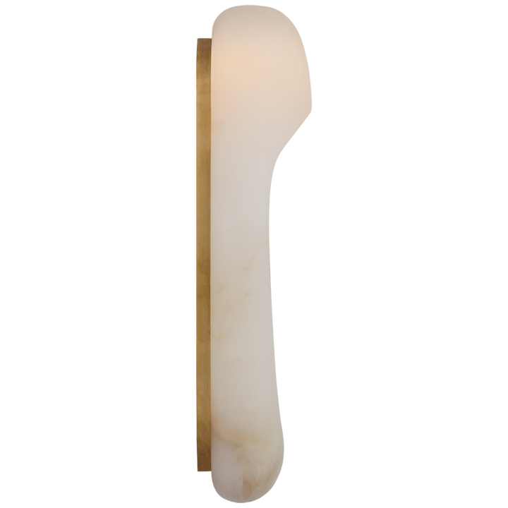 Elias 18" Elongated Wall Light