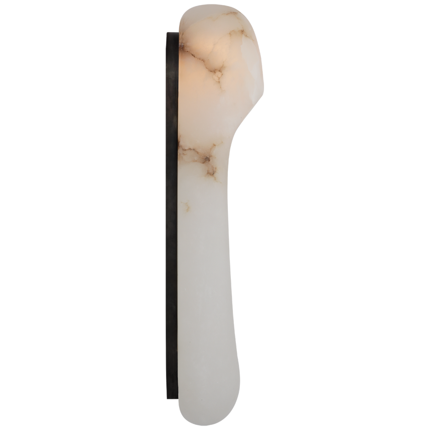 Elias 18" Elongated Wall Light