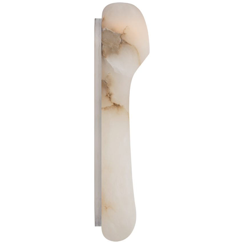 Elias 18" Elongated Wall Light