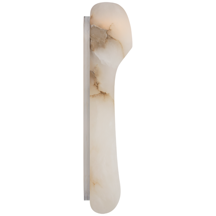 Elias 18" Elongated Wall Light