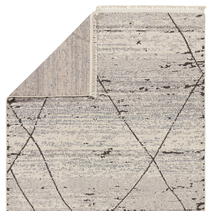 Jaipur Living Imani Trellis Gray/ White Area Rug (9'X12')