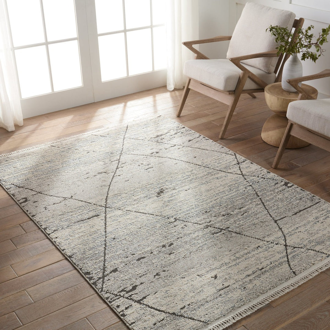 Jaipur Living Imani Trellis Gray/ White Area Rug (9'X12')