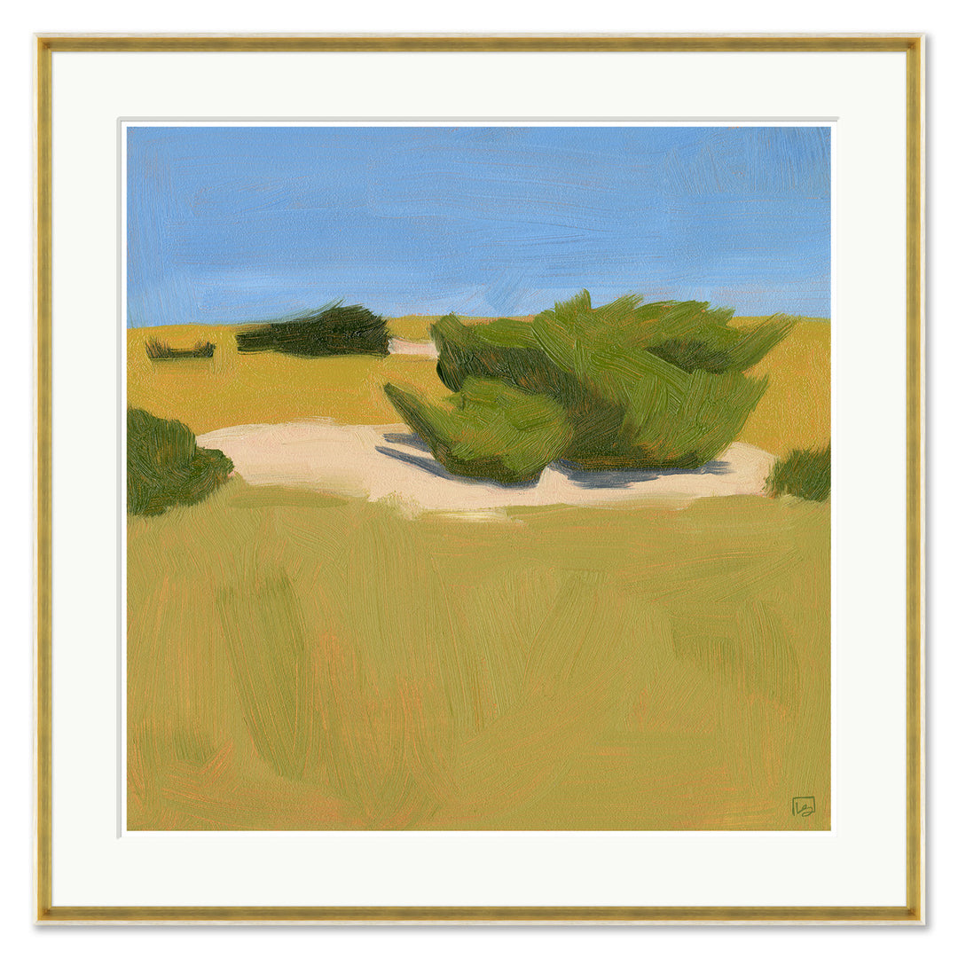 Shrubbery, Cape Hatteras by Soicher Marin