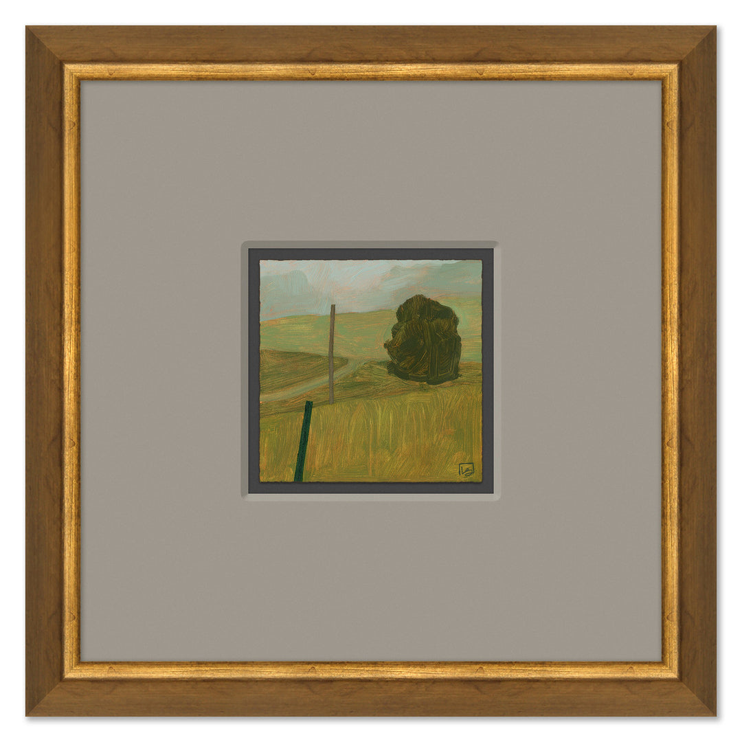 Pasture on my Road by Soicher Marin