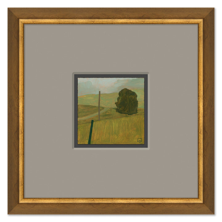 Pasture on my Road by Soicher Marin