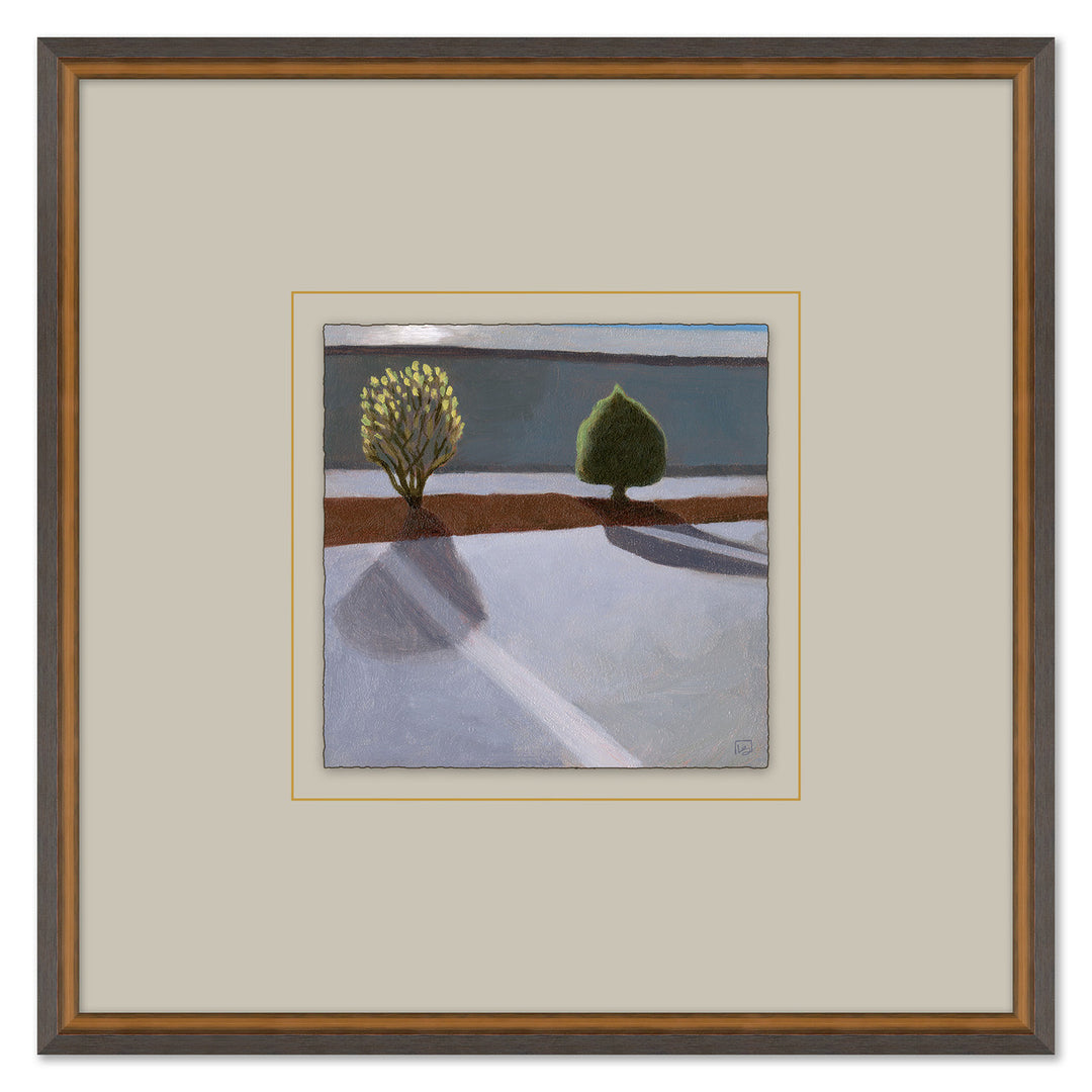 Parking Lot Shrubbery in Spring by Soicher Marin