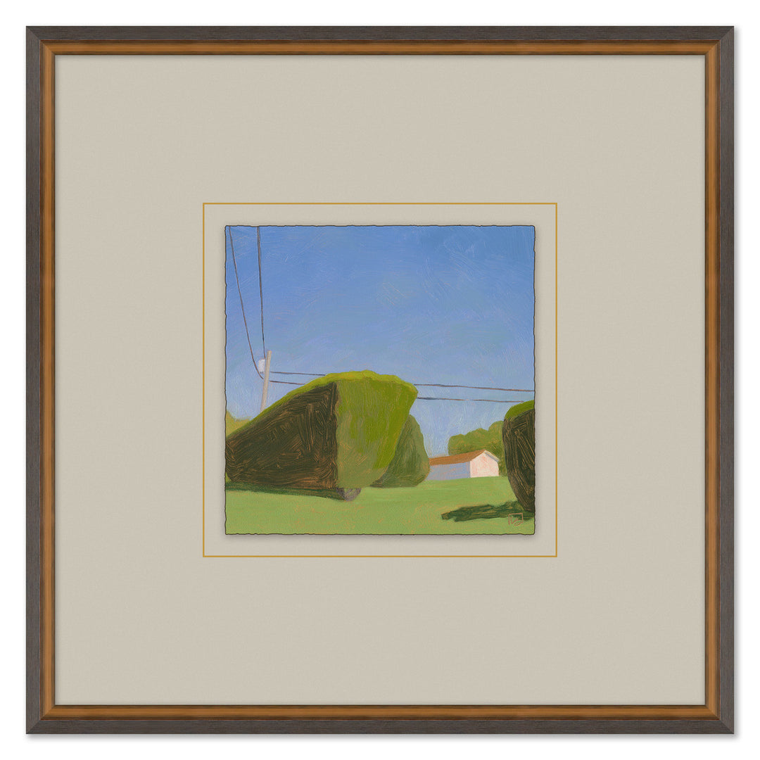 Shrubbery with Power Lines by Soicher Marin