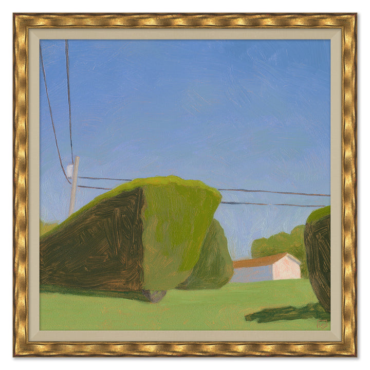 Shrubbery with Power Lines by Soicher Marin