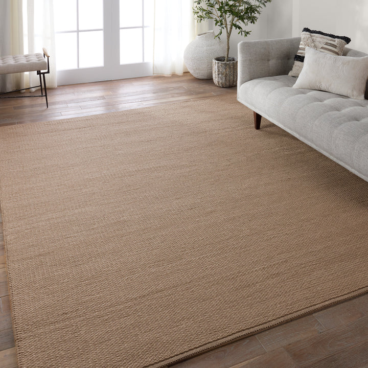 Jaipur Living Ryker Handmade Indoor/Outdoor Solid Taupe Area Rug (9'X12')