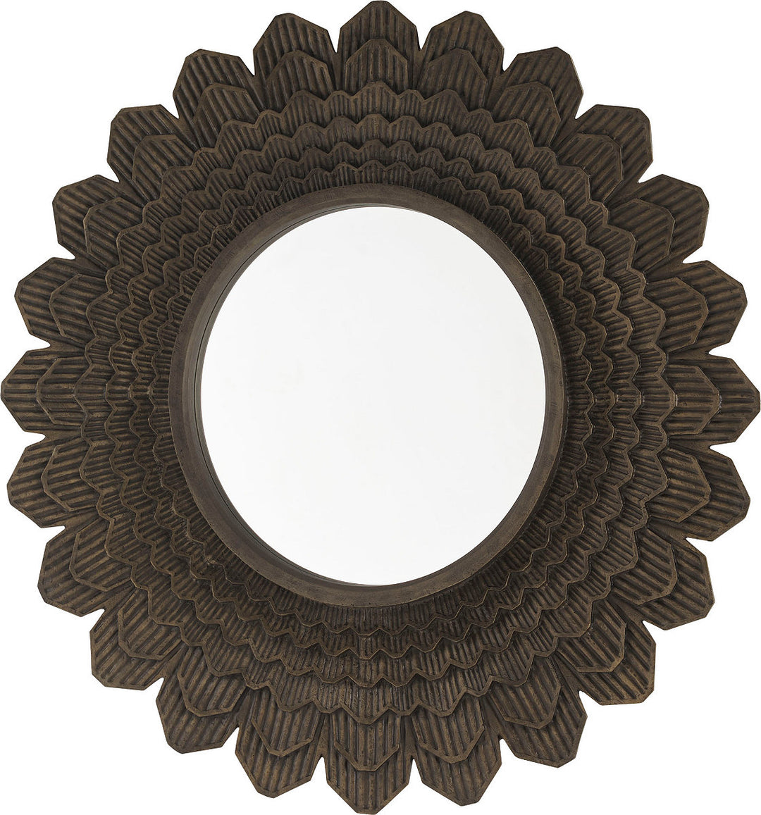 The Pangolin's Mirror