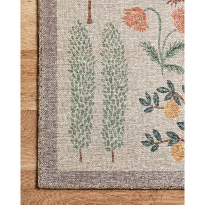 Rifle Paper Co. x Loloi Menagerie Cream 18" x 18" Sample Rug