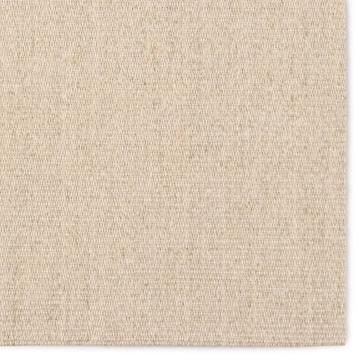 Jaipur Living Tristam Hand Woven Solid Area Rug (2'6"x8')