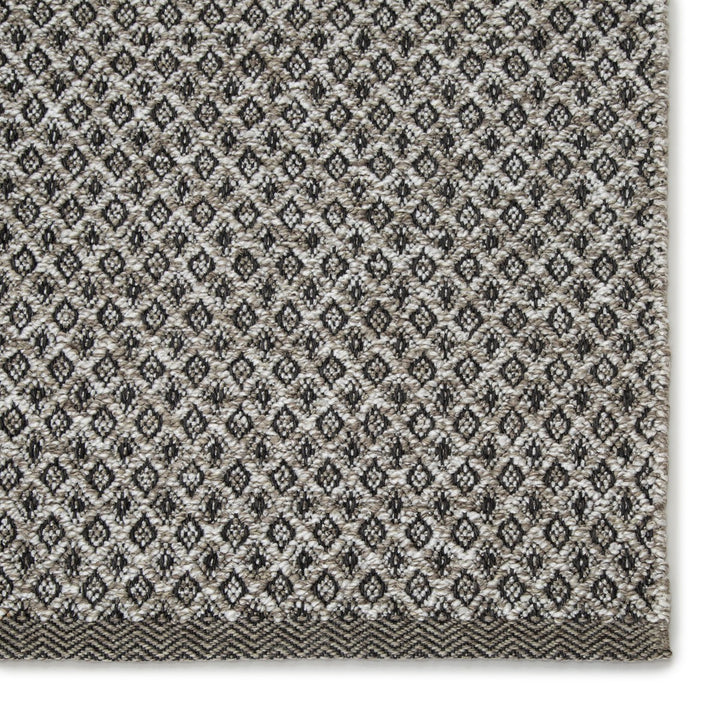 Jaipur Living Foster Indoor/ Outdoor Trellis Gray/ White Runner Rug (3'X12')