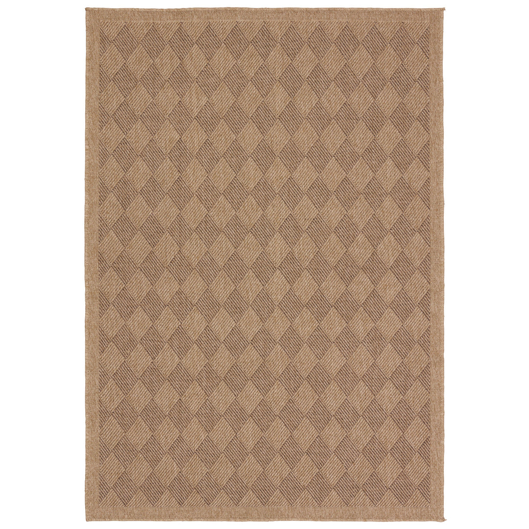 Vibe by Jaipur Living Amanar Indoor/Outdoor Tribal Brown Area Rug (9'X12')