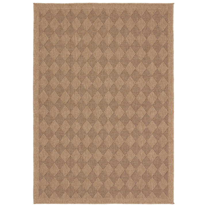 Vibe by Jaipur Living Amanar Indoor/Outdoor Tribal Brown Area Rug (9'X12')