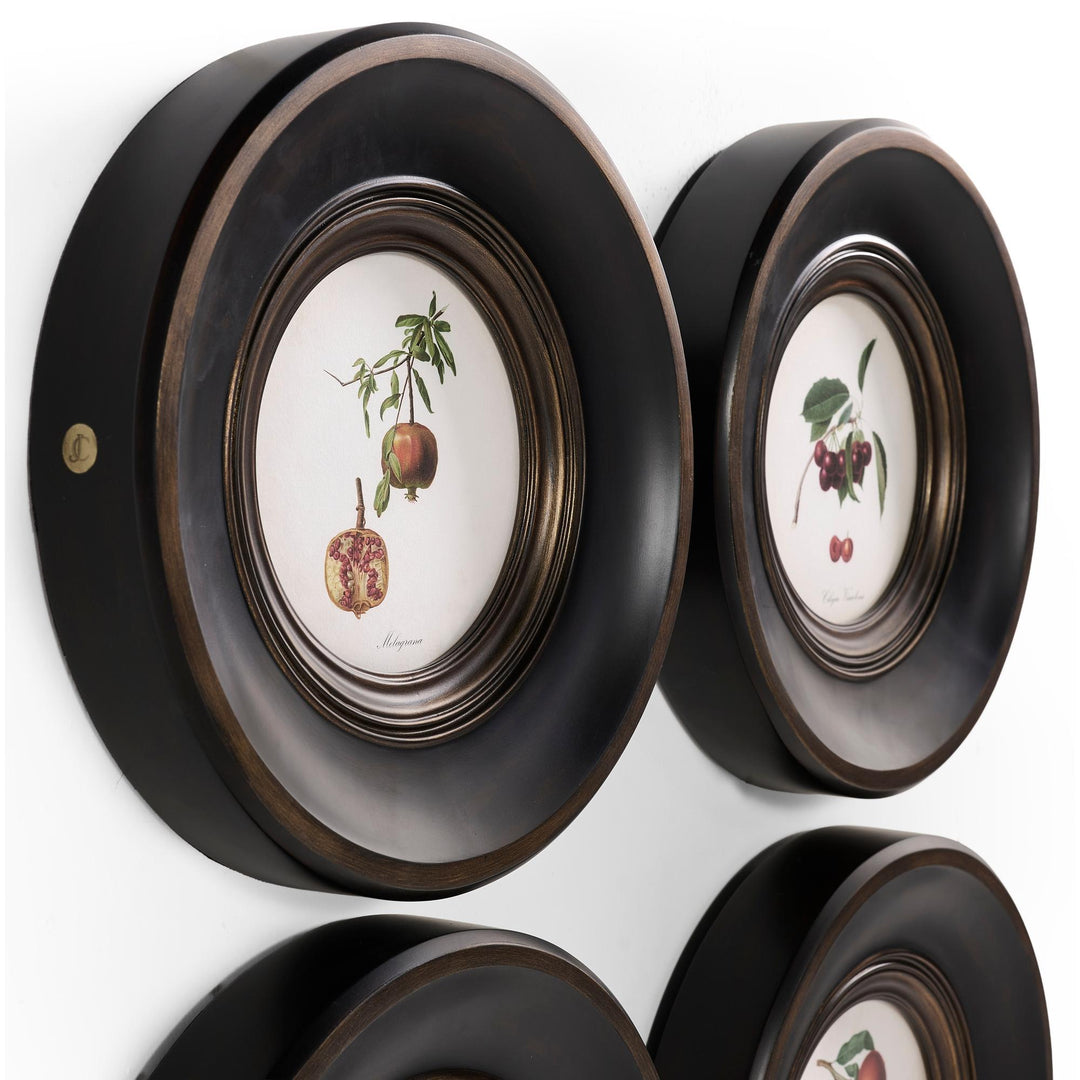Vintage Fruit No. 2 - Set of 4 - image 4