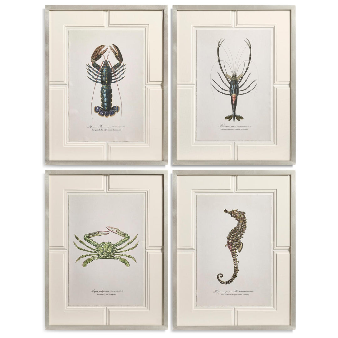 Vintage Marine Animals - Set of 4 - Default Title