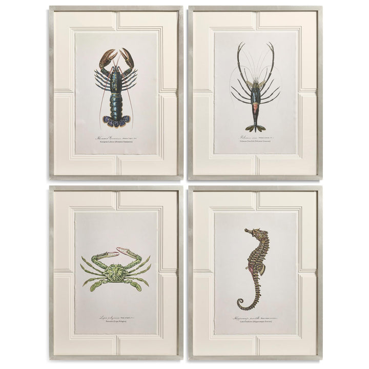 Vintage Marine Animals - Set of 4 - Default Title