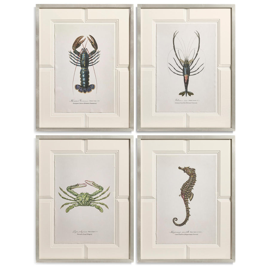 Vintage Marine Animals - Set of 4 - Default Title