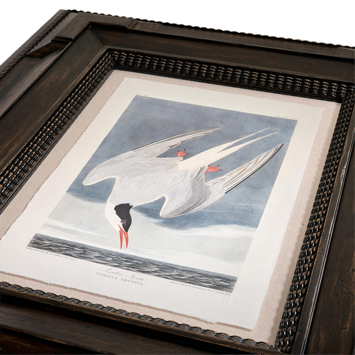 Audubon Birds - Set of 6 - image 14