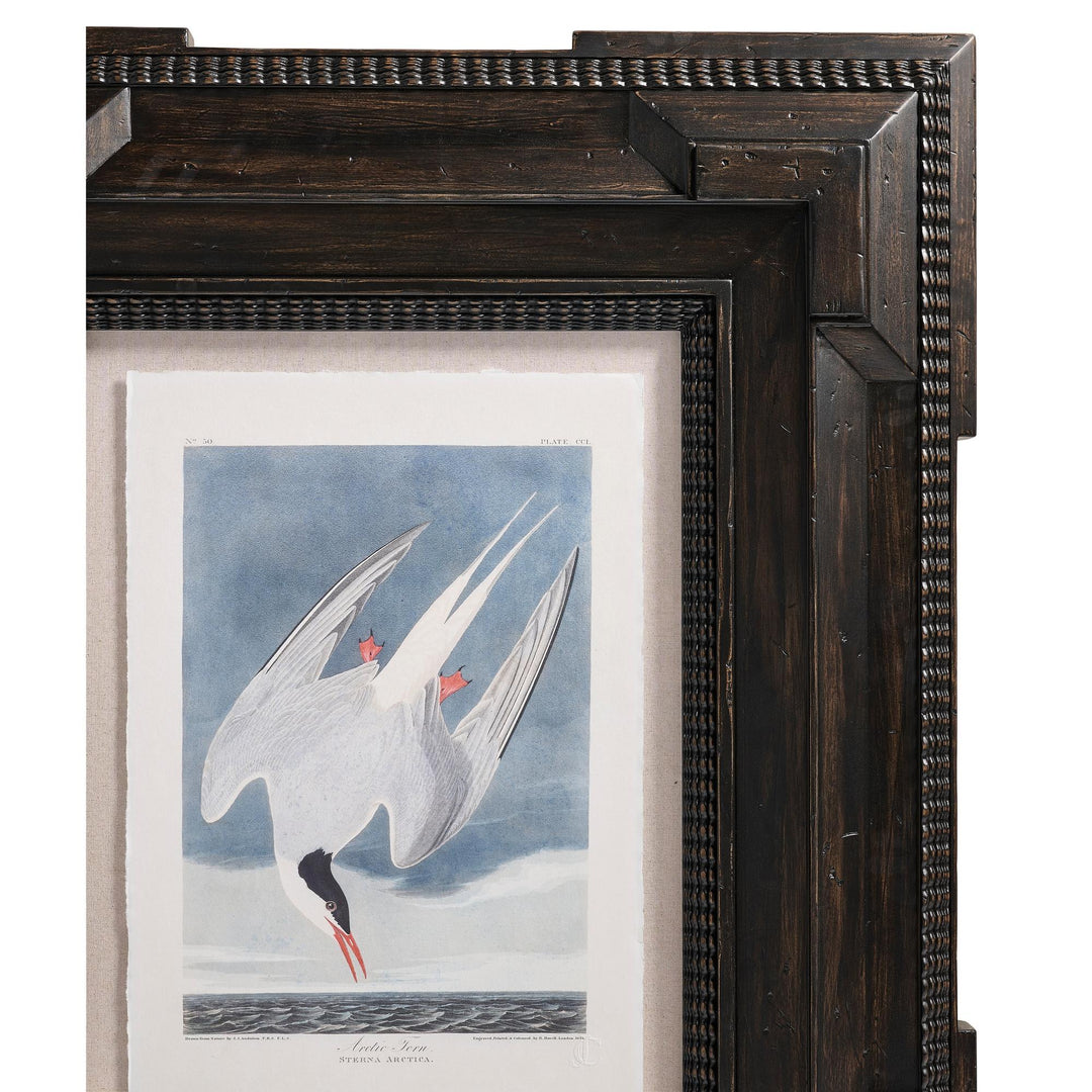 Audubon Birds - Set of 6 - image 15