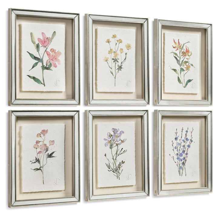 Petals and Process - Set of 6 - image 2