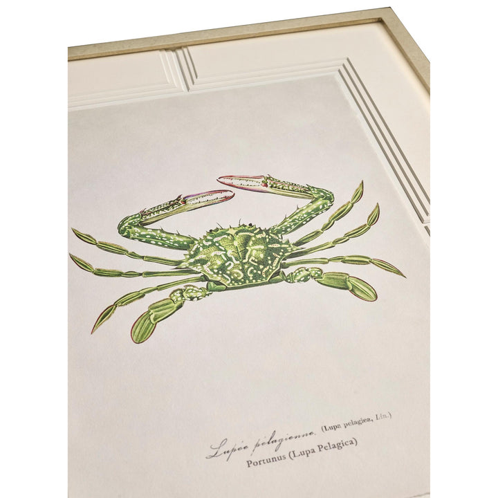 Vintage Marine Animals - Set of 4 - image 4