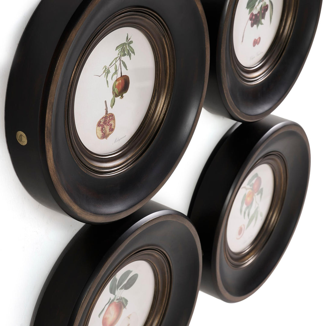 Vintage Fruit No. 2 - Set of 4 - image 5