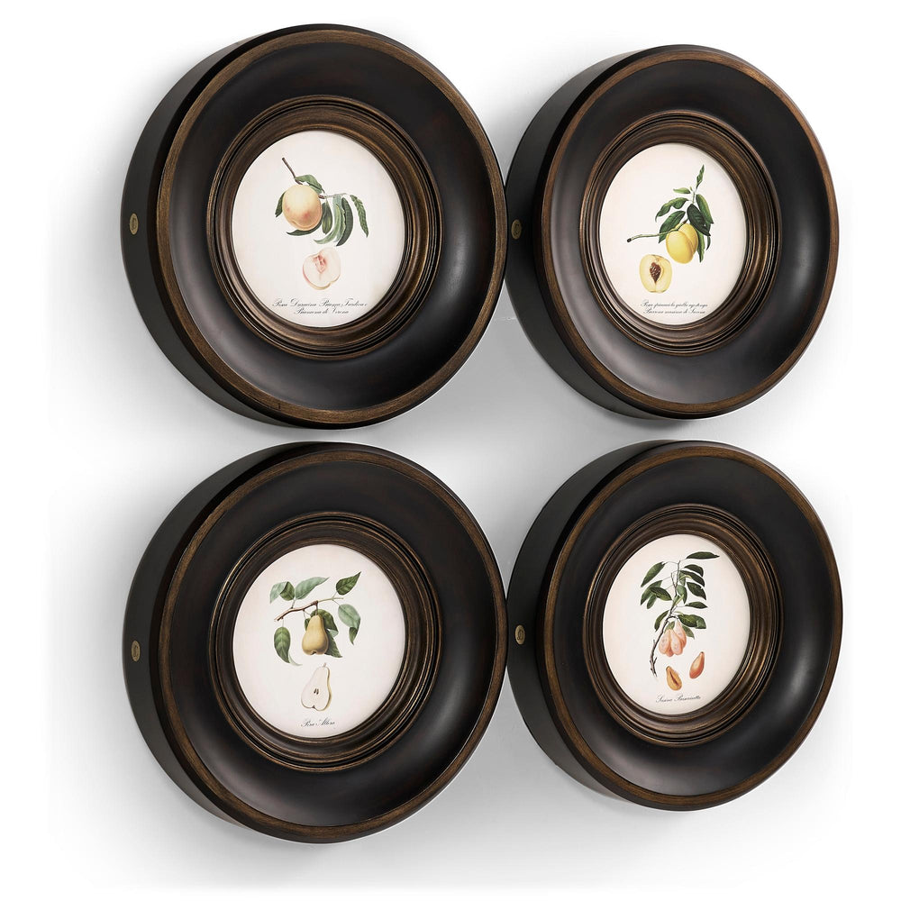 Vintage Fruit No. 1 - Set of 4 - image 2