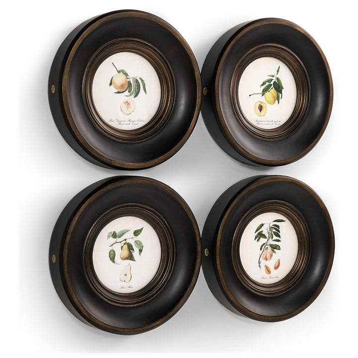 Vintage Fruit No. 1 - Set of 4 - image 2